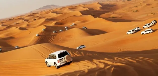 Desert Safari Tours