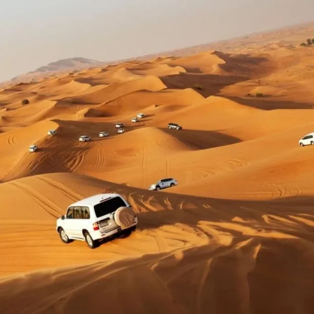 Desert Safari Tours