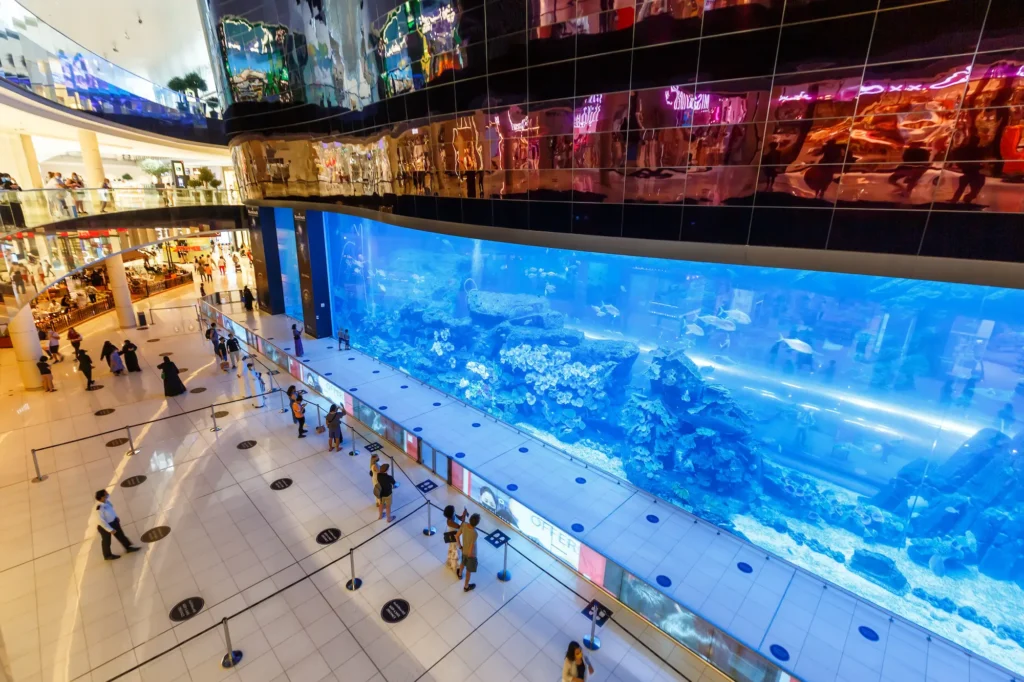 Dubai Mall Aquarium (Free View)