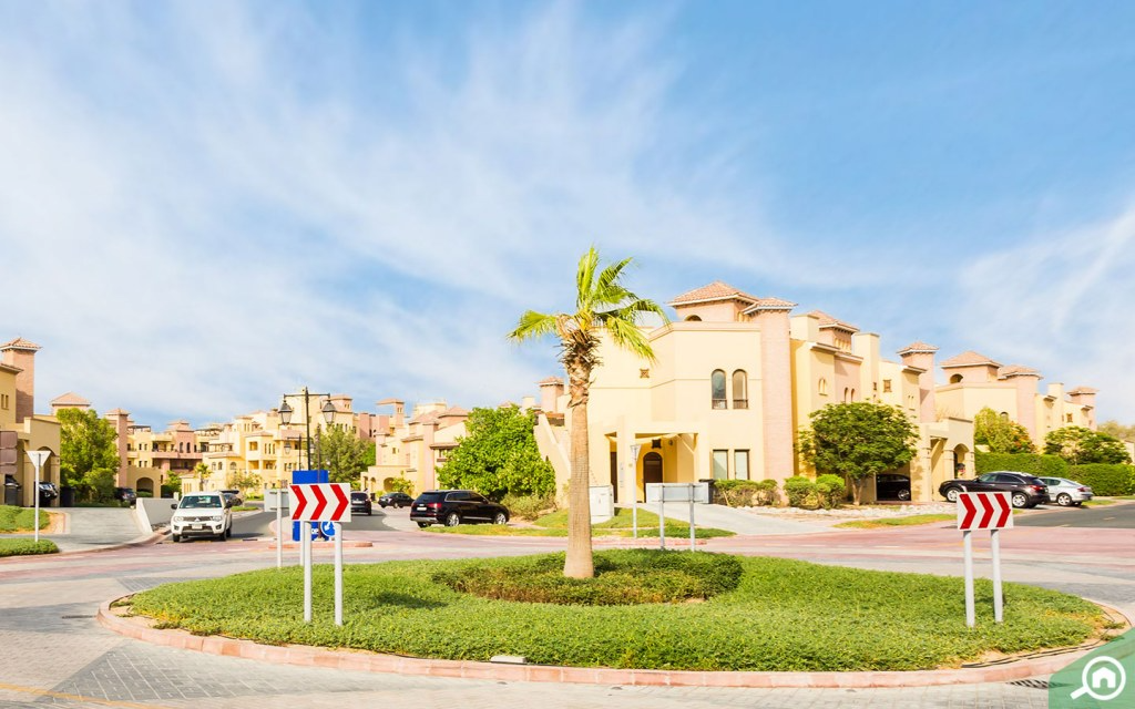 Local Life of dubai people